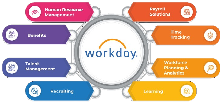 Passing the Official Workday Certification Article