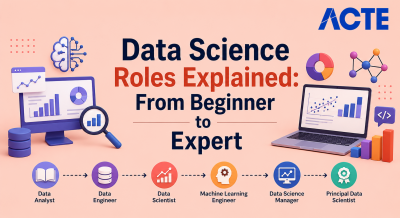 Data Science Roles Explained Article