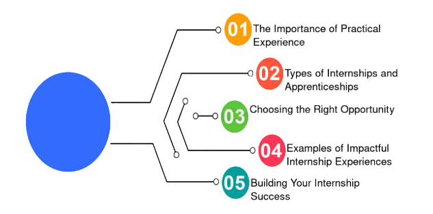 Gaining Practical Experience Through Internships Article