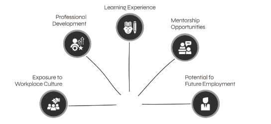 Key Differences Between Paid and Unpaid Internships Article