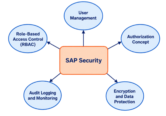 User Roles and Authorizations Tutorial