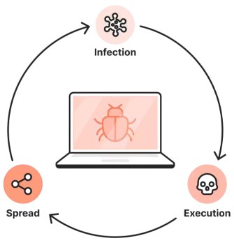 Computer Virus Interview Question