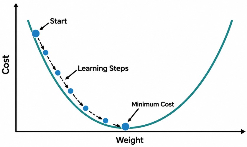 Gradient Descent Interview Question